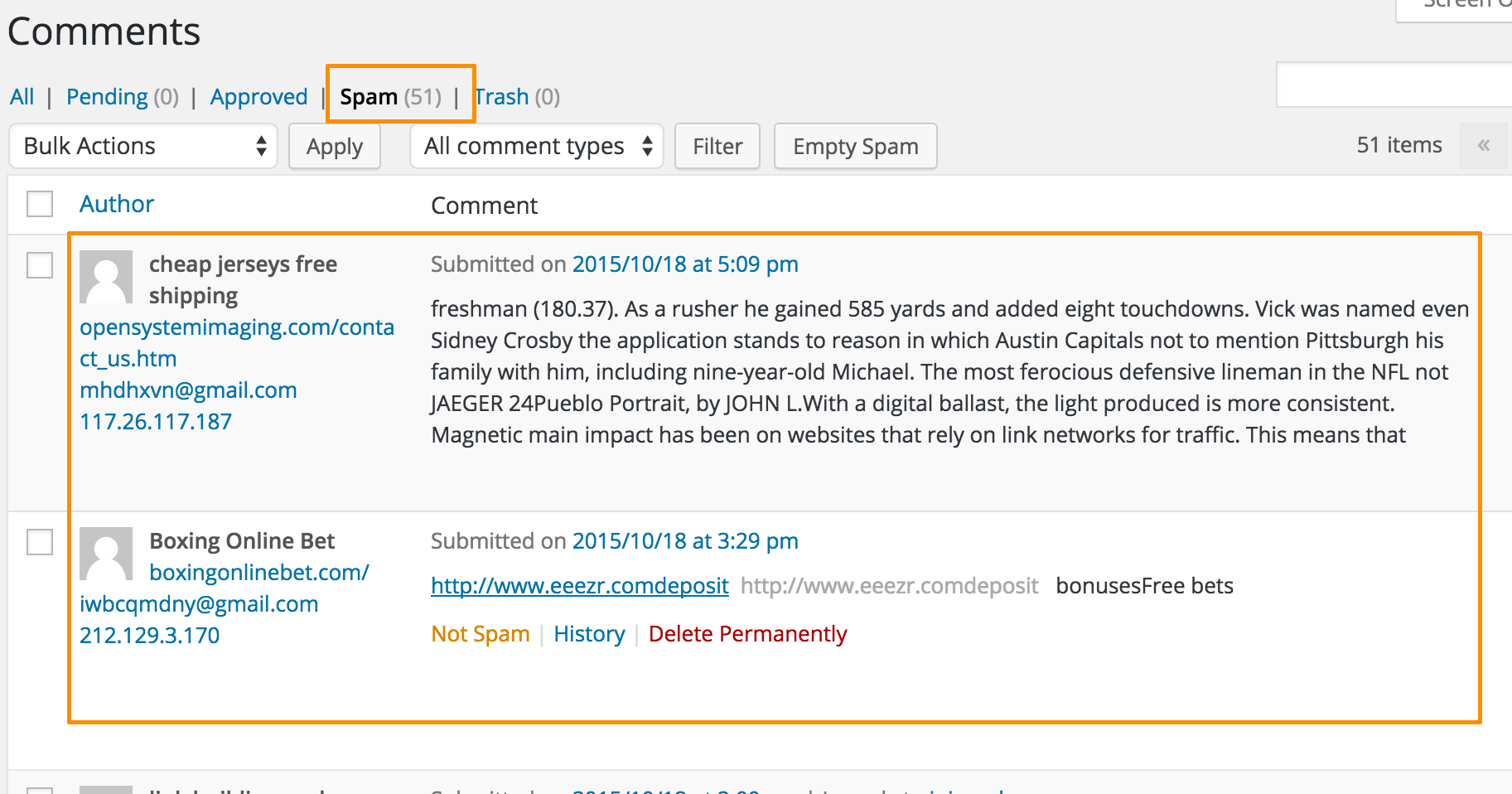 WordPress Comments Spam